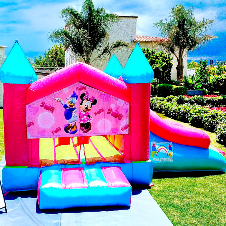 Castillo rosa Minnie