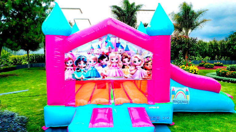 Castillo rosa princesas
